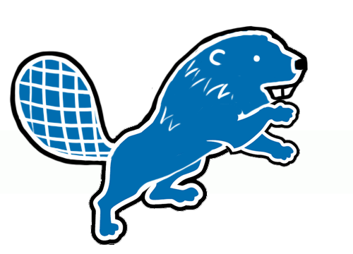Detroit Lions Canadian Logos iron on transfers